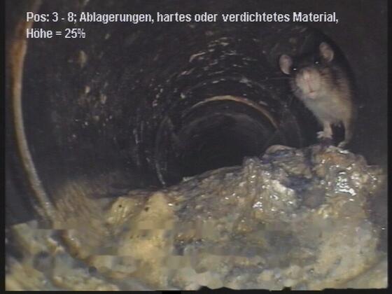 Bewertung – Bild 8